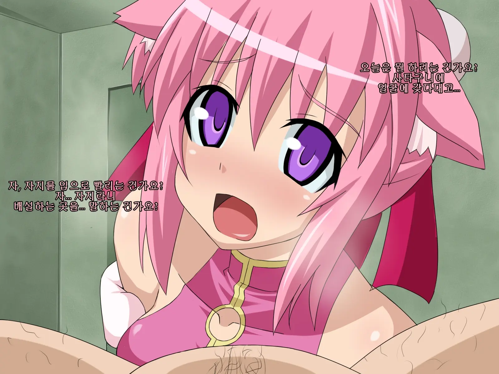 Kininatteita Onnanoko Ga, Itsunomanika Kimobuta Otoko No Chinpo Ana Ni Tsukuri Kaerareteita... ~PET DAYS~